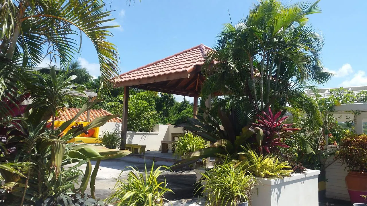 Pen Hall Bnb Ocho Rios Bed & Breakfast Runaway Bay